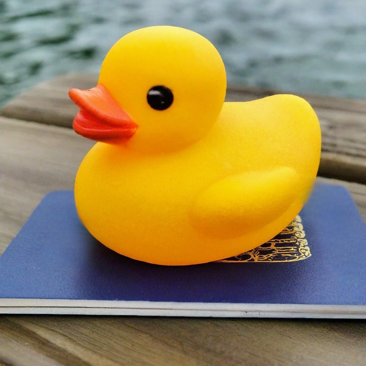 A rubber duck sitting on top of a cruise passport.