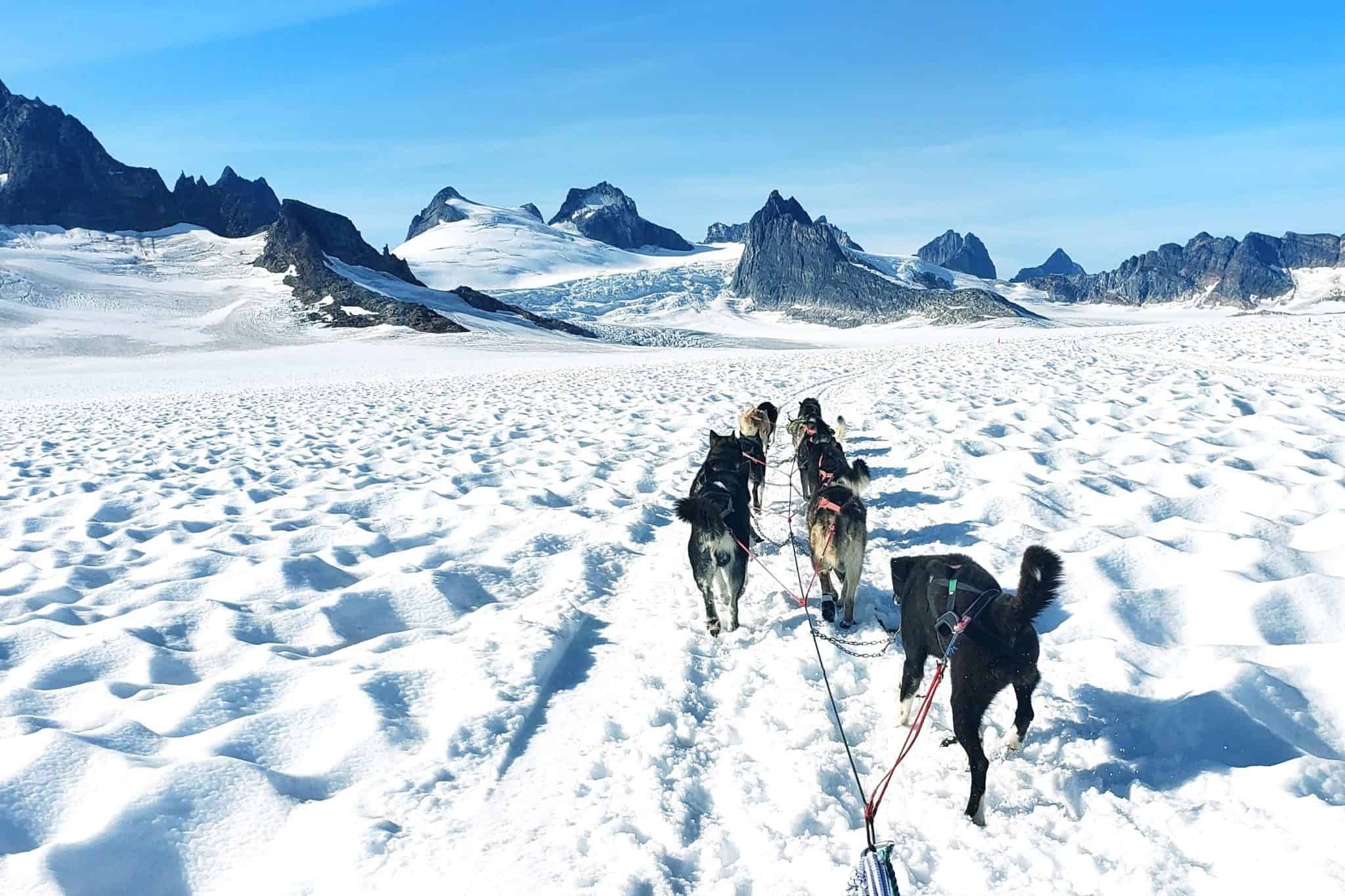 glacier alaska dogsledding 