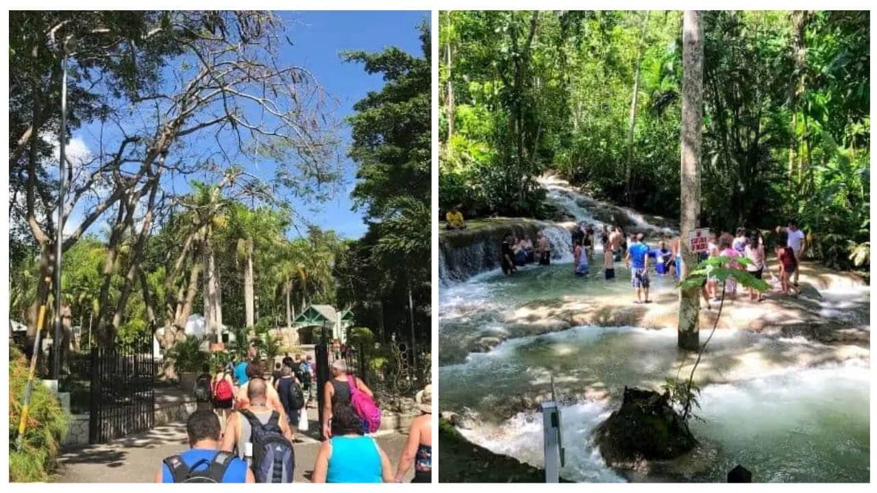 Left: Tourists walking through a tropical park with tall trees. Right: People standing in the cascading waters of Dunn's River Falls, surrounded by lush vegetation.