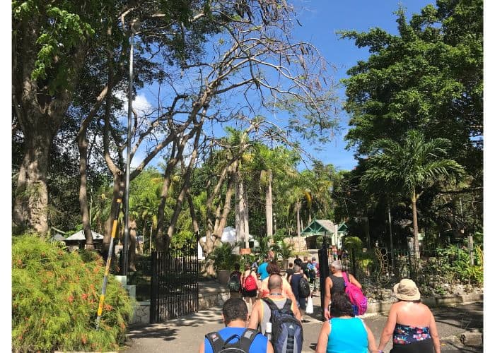 dunn's river falls excursion