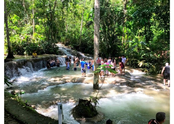 DUNNS RIVER FALLS 7