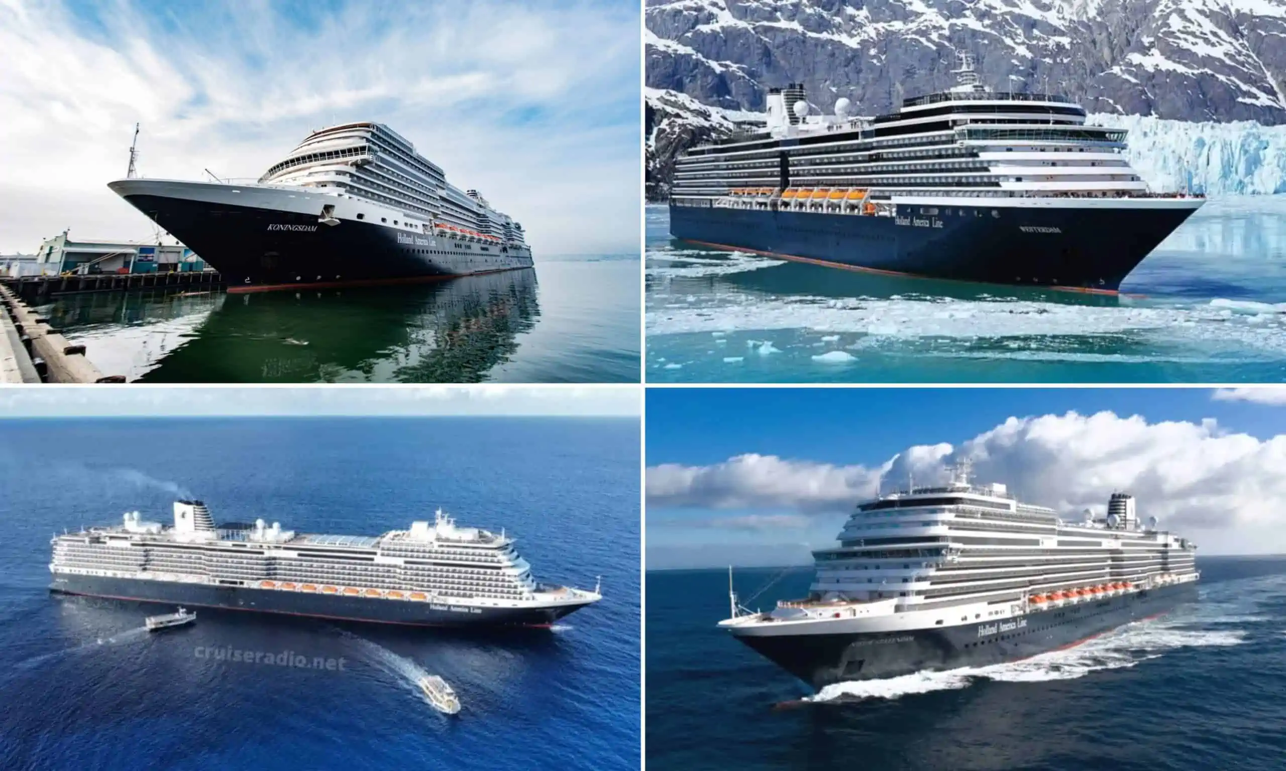 View of some of Holland America ships by size