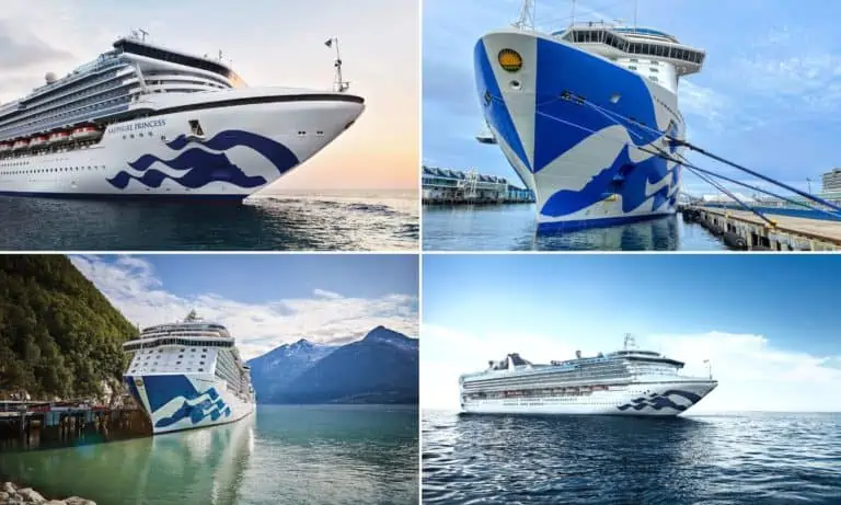 princess cruise ships by size