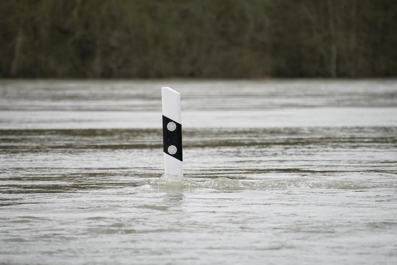 A white and black post is partially submerged in floodwater from the Danube River, with trees in the background. Nearby, cruise passengers have been evacuated to safety.