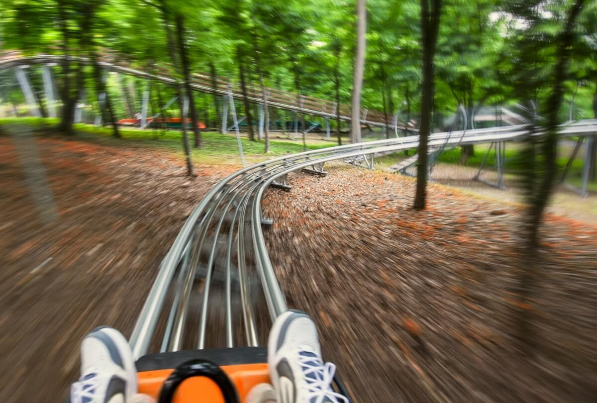 View from a first-person perspective of a ride on a bobsled roller coaster moving quickly through a forested area.