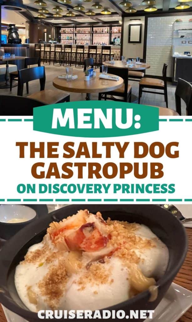 salty dog gastropub discovery princess