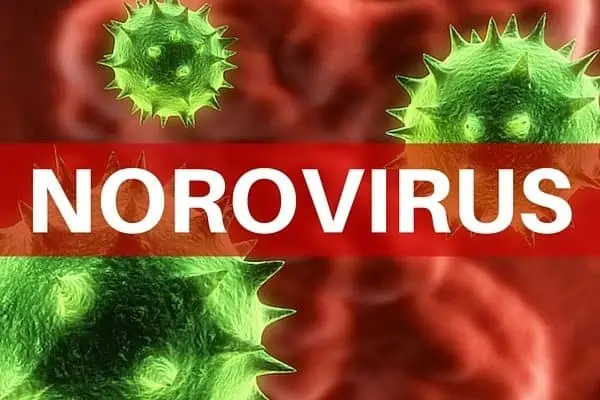 cruise ship norovirus outbreak