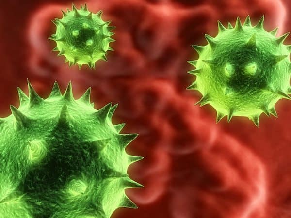 norovirus cells closeup