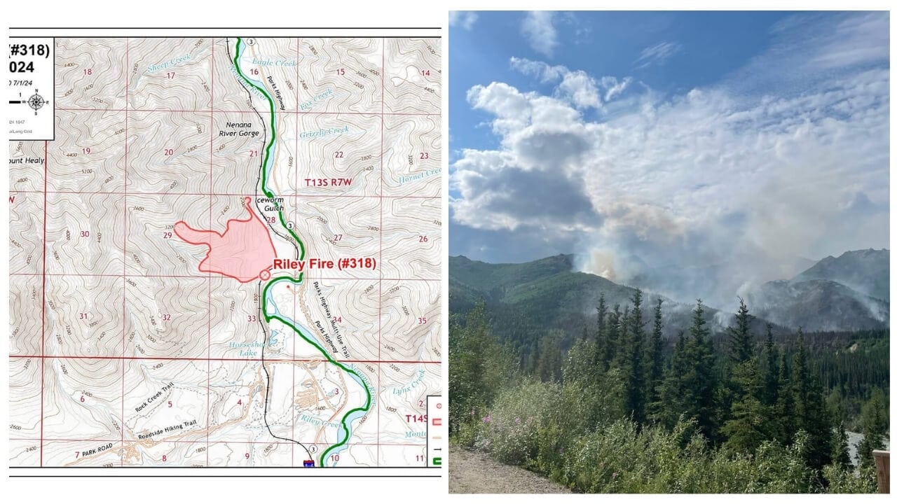 A map on the left shows the location of the Riley Fire (#318) in the Venaco River Gorge area. On the right, a photograph displays smoke rising from a wildfire in a forested mountainous region, a stark reminder of why Denali Shore Excursions were canceled.