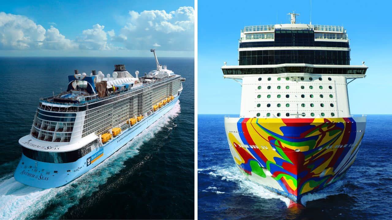 royal caribbean vs. norwegian cruise line