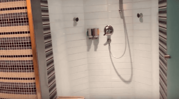 cloud 9 spa shower