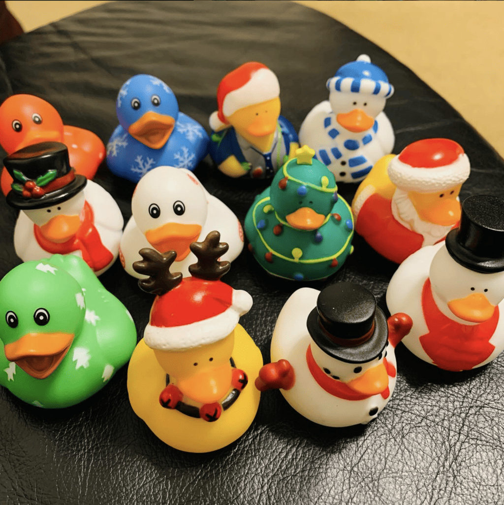 cruise ducks holiday ship