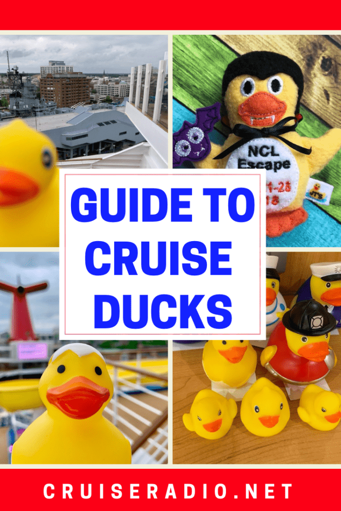 Guide to Cruise Ducks