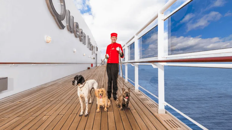 Two dogs enjoying a cruise ship deck.